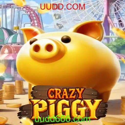 Explorando o Mundo Atraente de CrazyPiggy da UUDD.COM