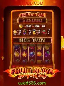 Explorando o Mundo de FruitNovaSuper40: Uma Análise Detalhada