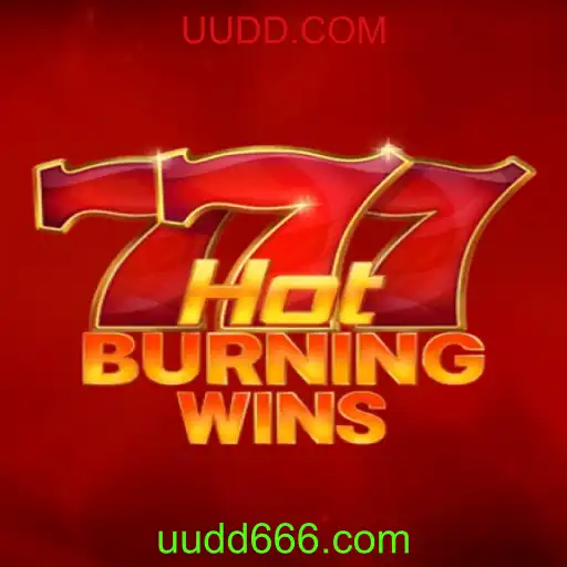 Explorando o Mundo de HotBurningWins